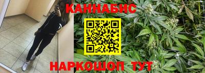 МДПВ Краснознаменск