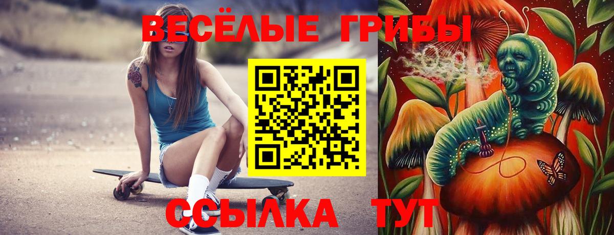 Галлюциногенные грибы Psilocybe  Псилоцибиновые грибы Psilocybe  Клин  Вход с VPN 
